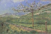 Apple tree in Blossom Ferdinand Hodler